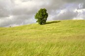 Foto: Musberg bei Stckach